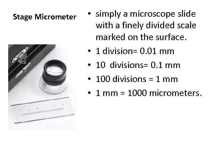 Stage Micrometer • simply a microscope slide with a finely divided scale marked on