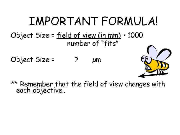 IMPORTANT FORMULA! Object Size = field of view (in mm) • 1000 number of