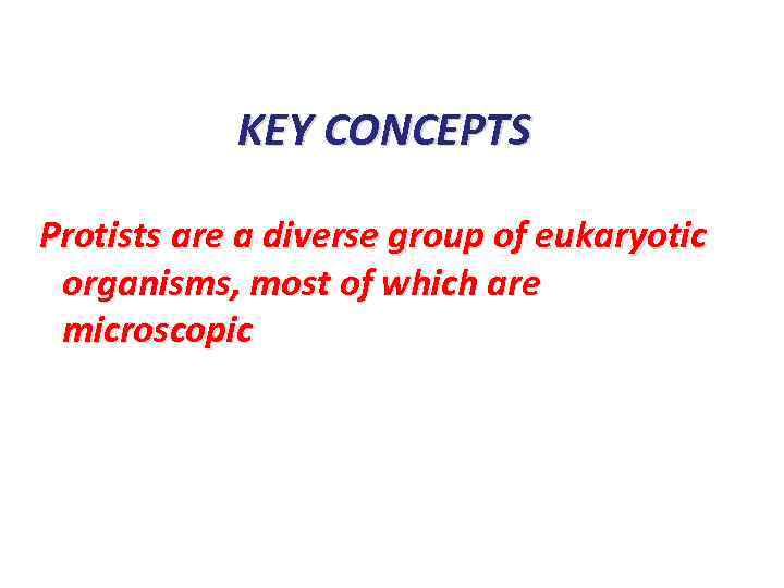 KEY CONCEPTS Protists are a diverse group of eukaryotic organisms, most of which are