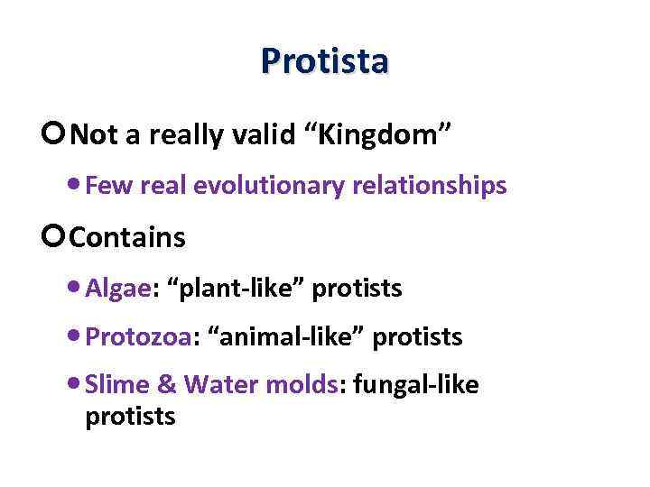 Protista Not a really valid “Kingdom” Few real evolutionary relationships Contains Algae: “plant-like” protists