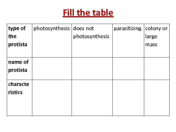 Fill the table type of the protista name of protista characte ristics photosynthesis does