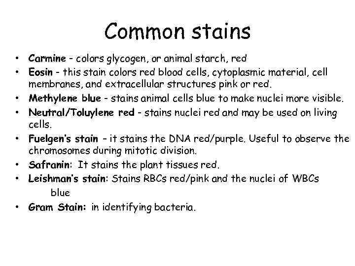 Common stains • Carmine - colors glycogen, or animal starch, red • Eosin -