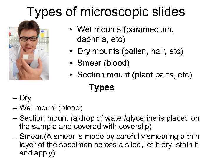 Types of microscopic slides • Wet mounts (paramecium, daphnia, etc) • Dry mounts (pollen,