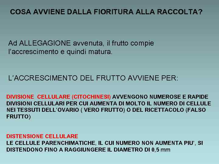 COSA AVVIENE DALLA FIORITURA ALLA RACCOLTA? Ad ALLEGAGIONE avvenuta, il frutto compie l’accrescimento e