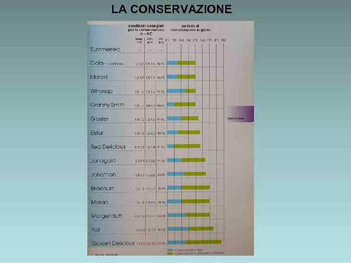 LA CONSERVAZIONE 