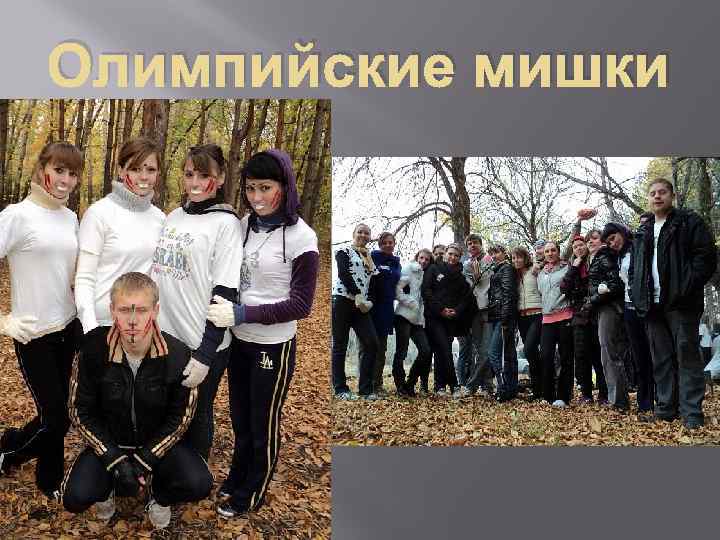 Олимпийские мишки 