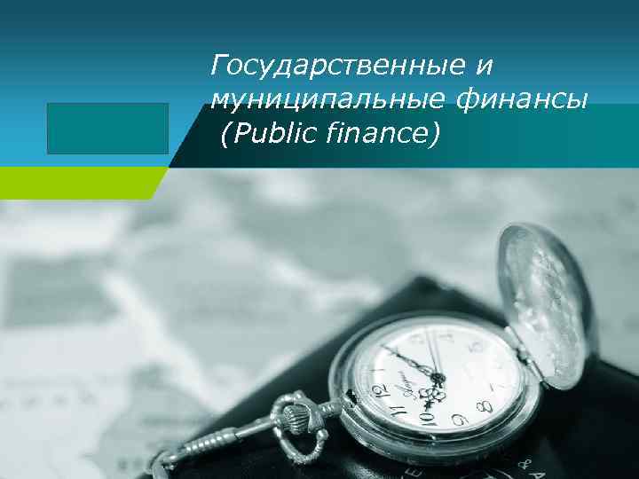 Company LOGO Государственные и муниципальные финансы (Public finance) 