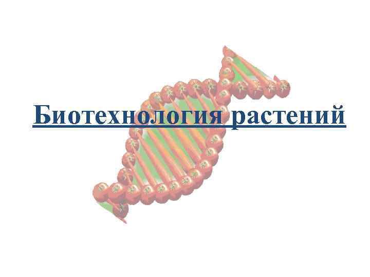 Биотехнология растений 