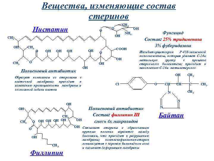 Вещества, изменяющие состав стеринов Нистатин O CH 3 O OH OH OH Полиеновый антибиотик