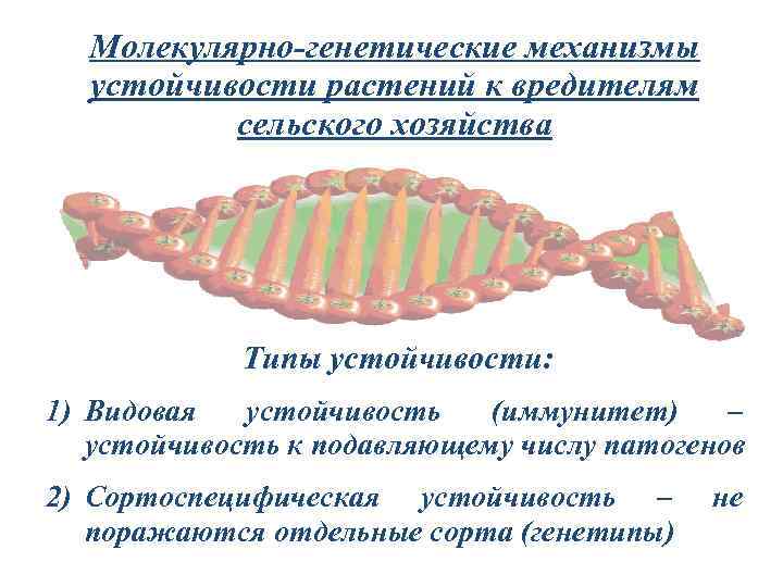 Молекулярно-генетические механизмы устойчивости растений к вредителям сельского хозяйства Типы устойчивости: 1) Видовая устойчивость (иммунитет)