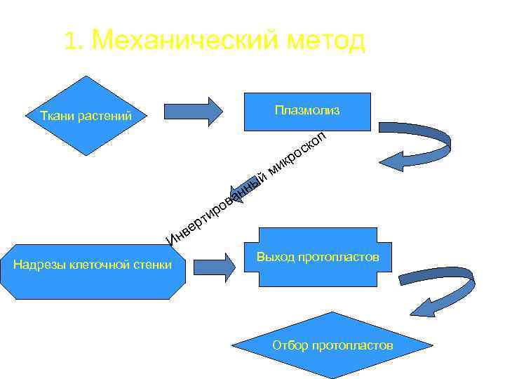 1. Механический метод Плазмолиз Ткани растений п ко с о р ик нн а