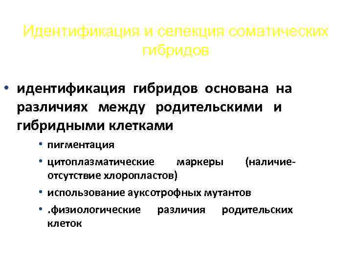Идентификация и селекция соматических гибридов • идентификация гибридов основана на различиях между родительскими и