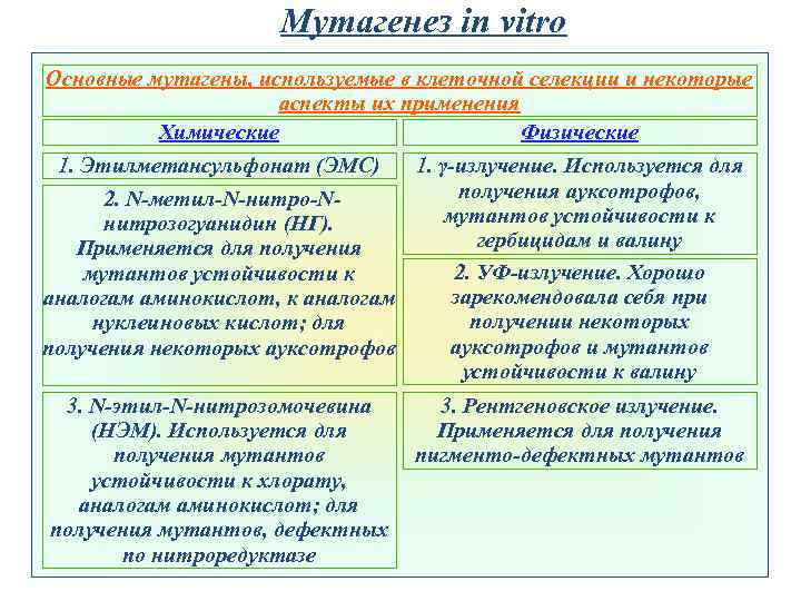 Мутагенез in vitro Основные мутагены, используемые в клеточной селекции и некоторые аспекты их применения