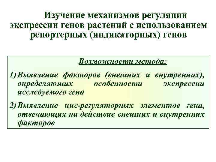 Изучение механизмов регуляции экспрессии генов растений с использованием репортерных (индикаторных) генов Возможности метода: 1)