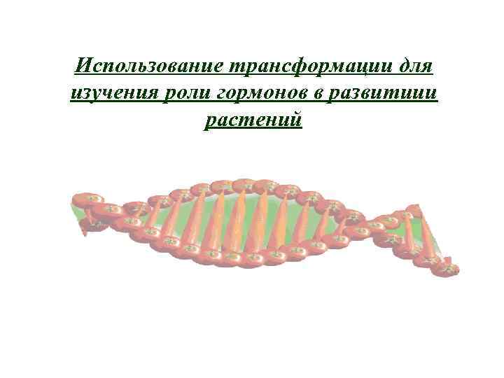 Использование трансформации для изучения роли гормонов в развитиии растений 