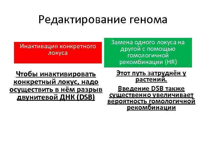 Редактирование генома Инактивация конкретного локуса Замена одного локуса на другой с помощью гомологичной рекомбинации