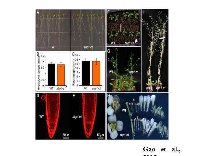 Gao et al. , 