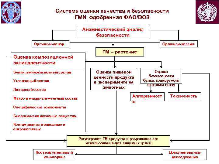 Система оценки качества и безопасности ГМИ, одобренная ФАО/ВОЗ Анамнестический анализ безопасности Организм-донор Оценка композиционной