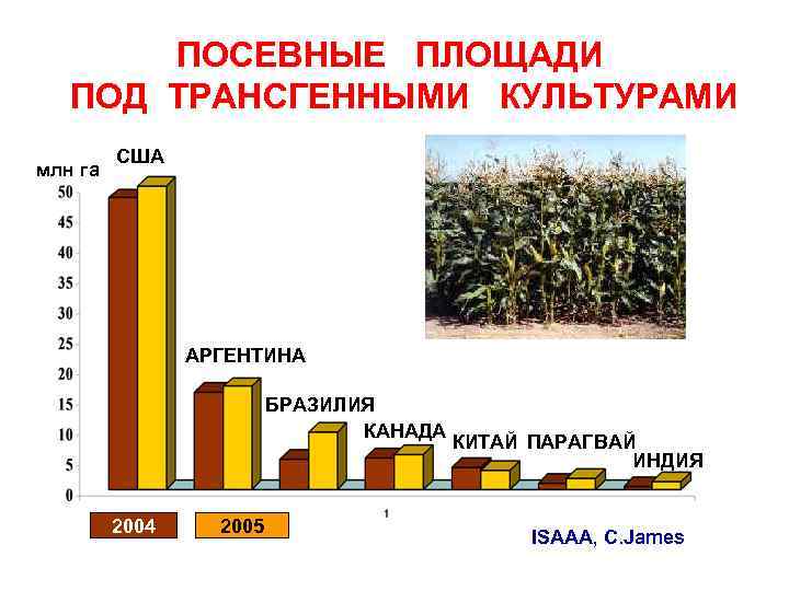 ПОСЕВНЫЕ ПЛОЩАДИ ПОД ТРАНСГЕННЫМИ КУЛЬТУРАМИ млн га США АРГЕНТИНА БРАЗИЛИЯ КАНАДА 2004 2005 КИТАЙ