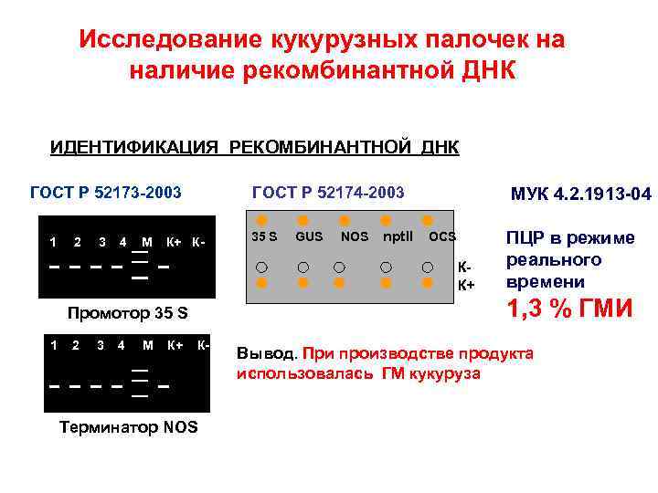 Исследование кукурузных палочек на наличие рекомбинантной ДНК ИДЕНТИФИКАЦИЯ РЕКОМБИНАНТНОЙ ДНК ГОСТ Р 52173 -2003