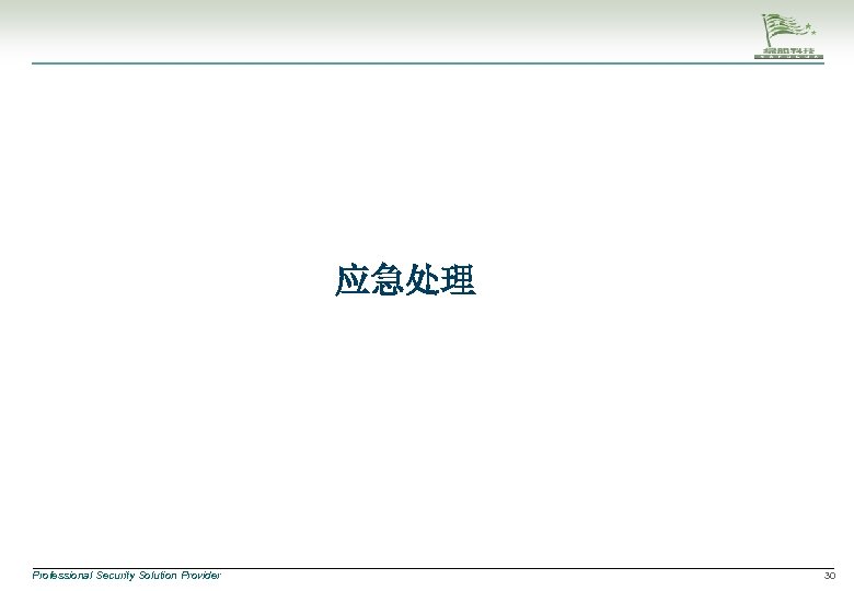 应急处理 Professional Security Solution Provider 30 