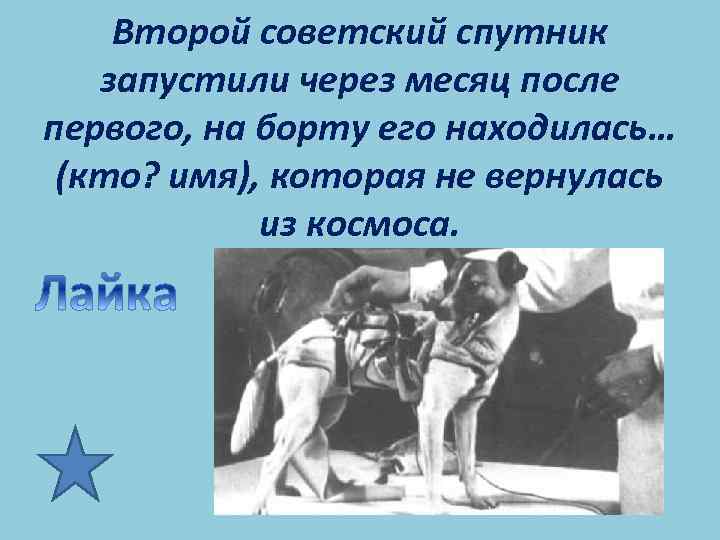 Второй советский спутник запустили через месяц после первого, на борту его находилась… (кто? имя),