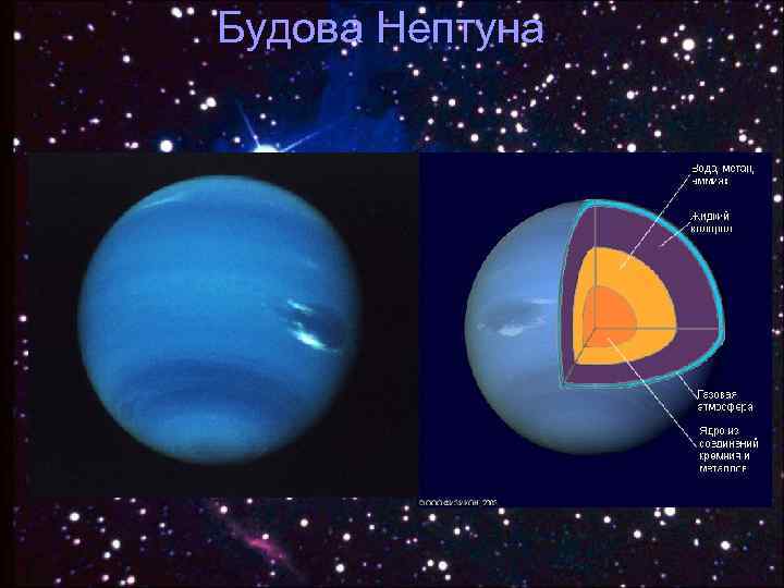 Будова Нептуна 