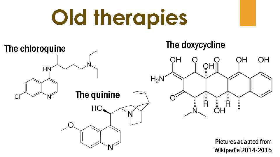 Old therapies The doxycycline The chloroquine The quinine Pictures adapted from Wikipedia 2014 -2015