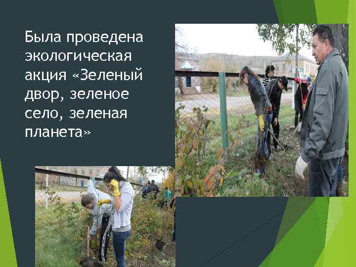 Была проведена экологическая акция «Зеленый двор, зеленое село, зеленая планета» 