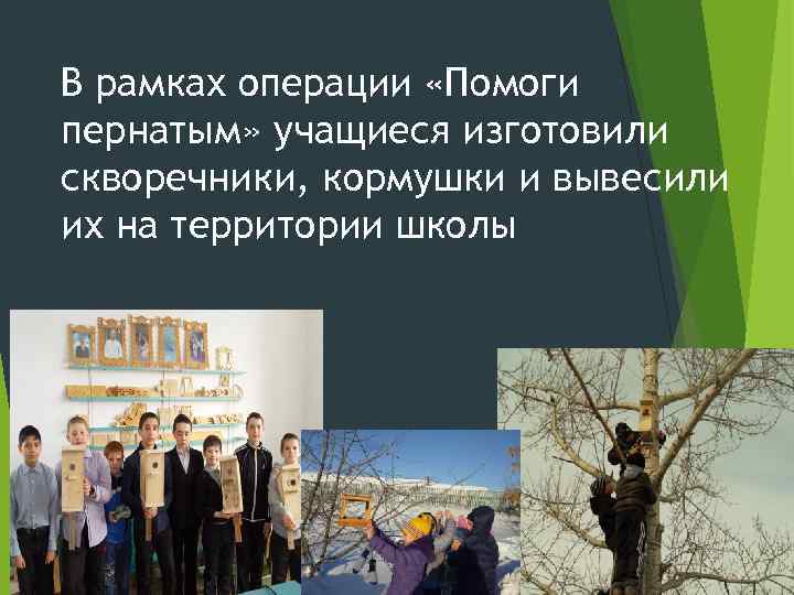 В рамках операции «Помоги пернатым» учащиеся изготовили скворечники, кормушки и вывесили их на территории