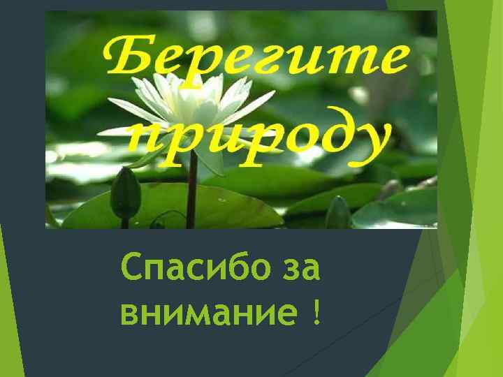 Спасибо за внимание ! 