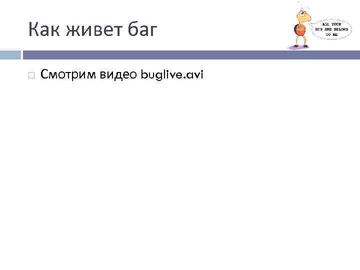 Как живет баг Смотрим видео buglive. avi 