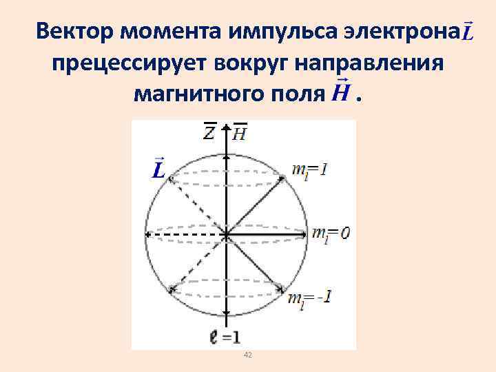 Вектор момента импульса электрона прецессирует вокруг направления магнитного поля . 42 