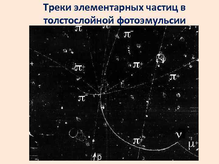 Треки элементарных частиц в толстослойной фотоэмульсии 