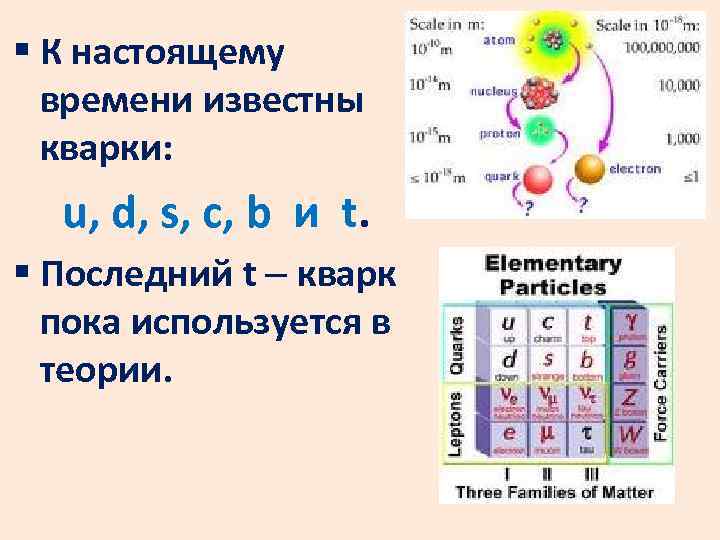 Элементарные частицы атома