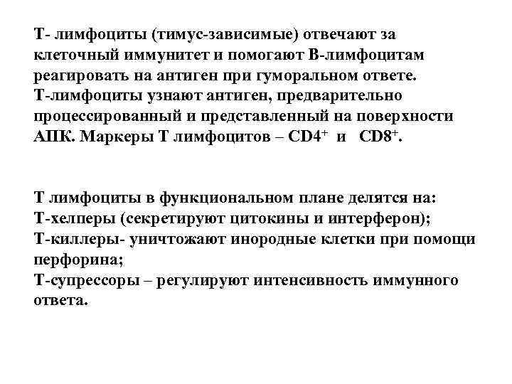 Т- лимфоциты (тимус-зависимые) отвечают за клеточный иммунитет и помогают В-лимфоцитам реагировать на антиген при