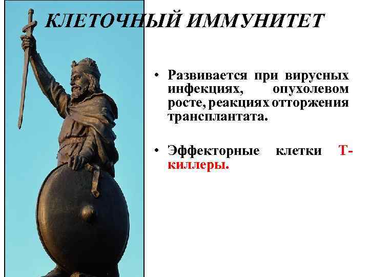 КЛЕТОЧНЫЙ ИММУНИТЕТ • Развивается при вирусных инфекциях, опухолевом росте, реакциях отторжения трансплантата. • Эффекторные