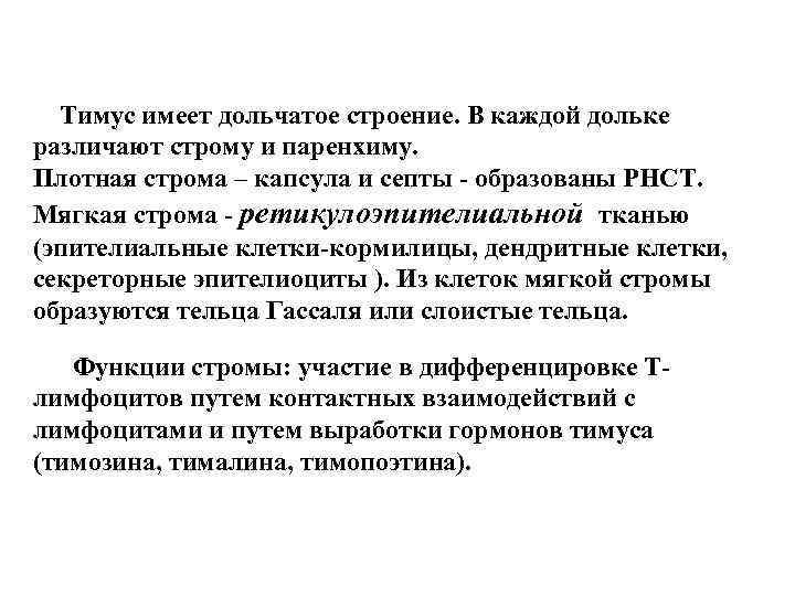 Тимус имеет дольчатое строение. В каждой дольке различают строму и паренхиму. Плотная строма –