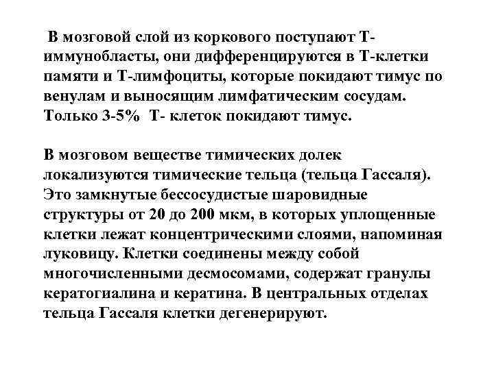 В мозговой слой из коркового поступают Тиммунобласты, они дифференцируются в Т-клетки памяти и Т-лимфоциты,