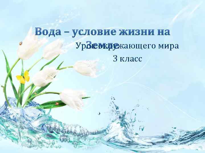 Урок окружающего мира 3 класс 