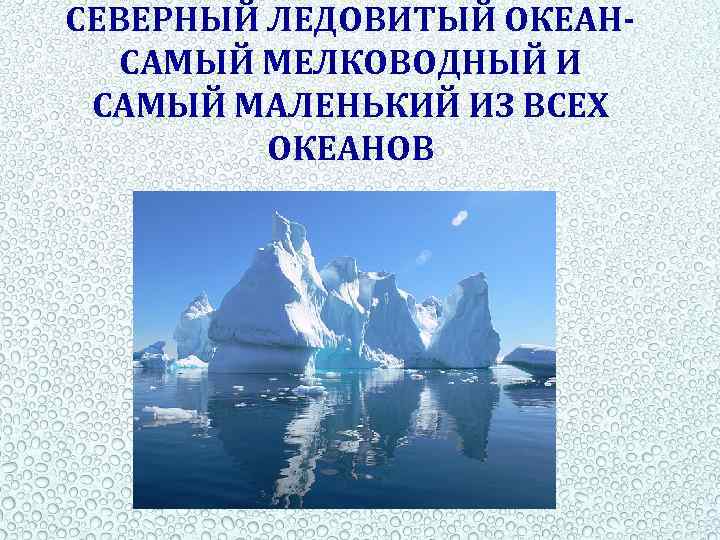 СЕВЕРНЫЙ ЛЕДОВИТЫЙ ОКЕАНСАМЫЙ МЕЛКОВОДНЫЙ И САМЫЙ МАЛЕНЬКИЙ ИЗ ВСЕХ ОКЕАНОВ 