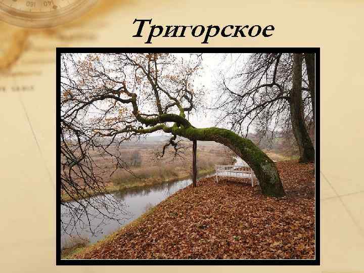 Тригорское 