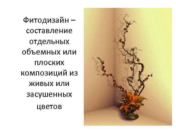 Фитодизайн – составление отдельных объемных или плоских композиций из живых или засушенных цветов 