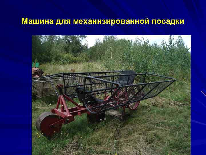 Машина для механизированной посадки 