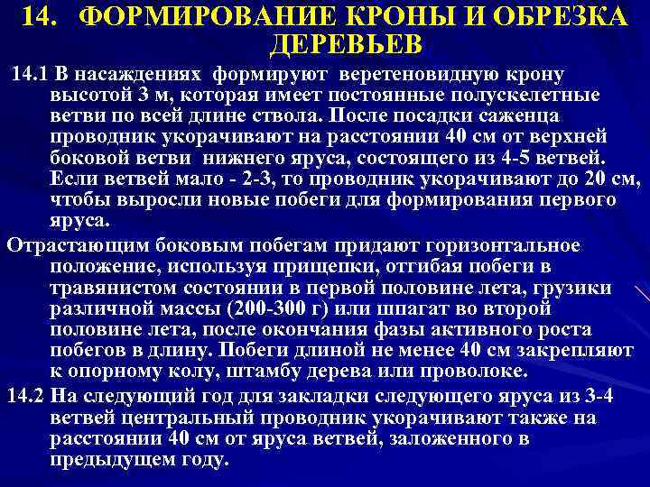 14. ФОРМИРОВАНИЕ КРОНЫ И ОБРЕЗКА ДЕРЕВЬЕВ 14. 1 В насаждениях формируют веретеновидную крону высотой