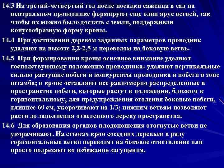 14. 3 На третий-четвертый год после посадки саженца в сад на центральном проводнике формируют