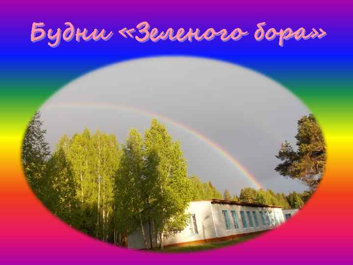 Будни «Зеленого бора» 