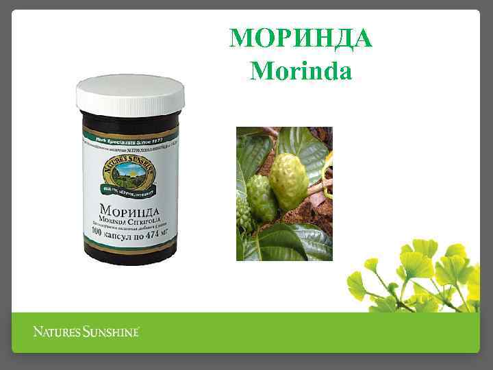 МОРИНДА Morinda Для правки структуры щелкните мышью Второй.