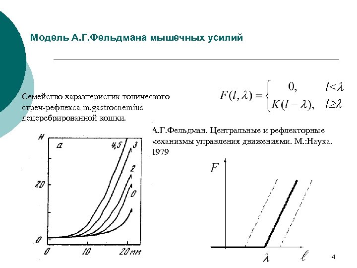 Модель А. Г. Фельдмана мышечных усилий l<l l l Семейство характеристик тонического стреч-рефлекса m.