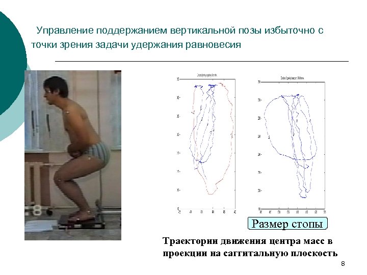 Управление поддержанием вертикальной позы избыточно с точки зрения задачи удержания равновесия Размер стопы Траектории
